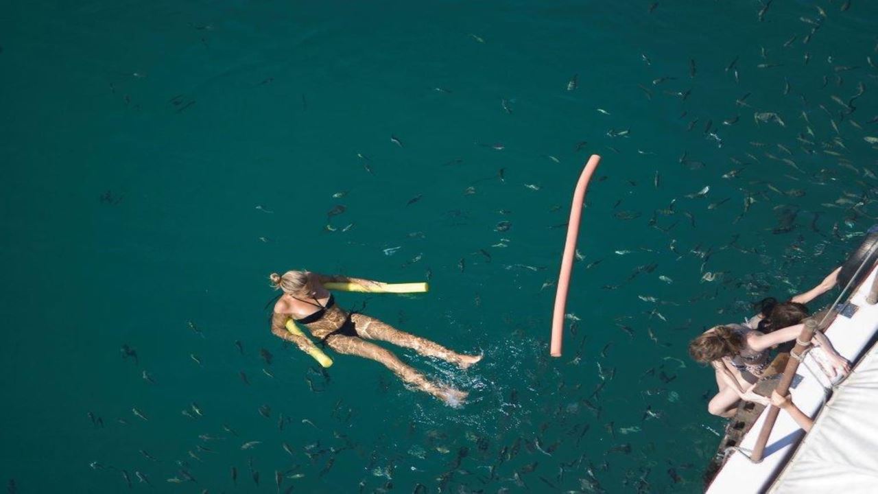 Islas Paraísicas De Paraty foto 9