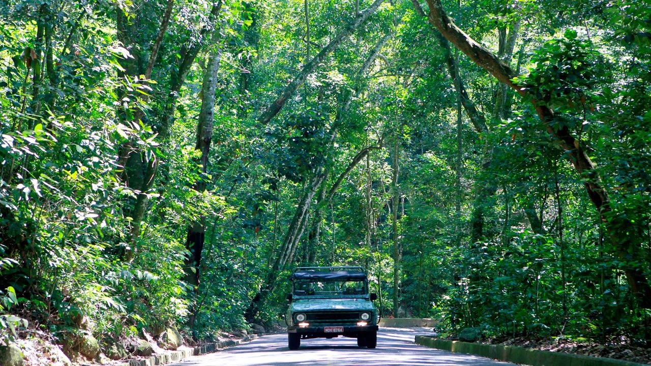 Jeep Tour Floresta Da Tijuca + Botanical Garden (0)