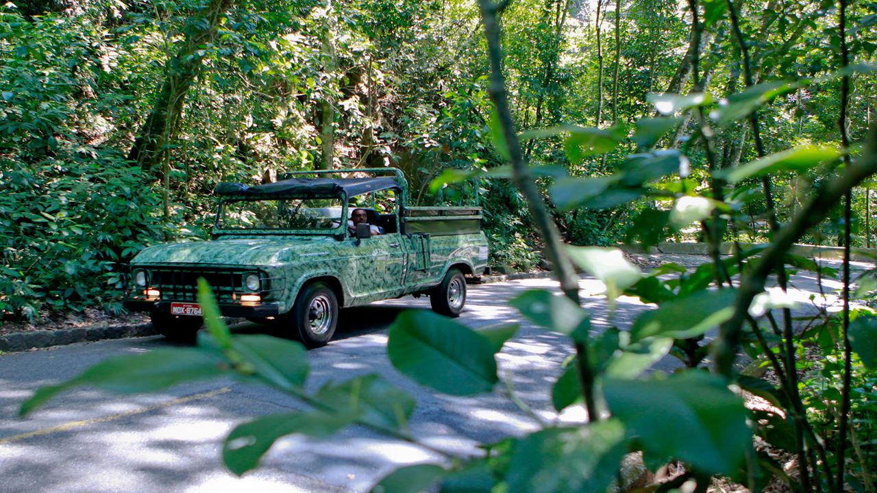 Jeep Tour Floresta Da Tijuca + Botanical Garden (3)