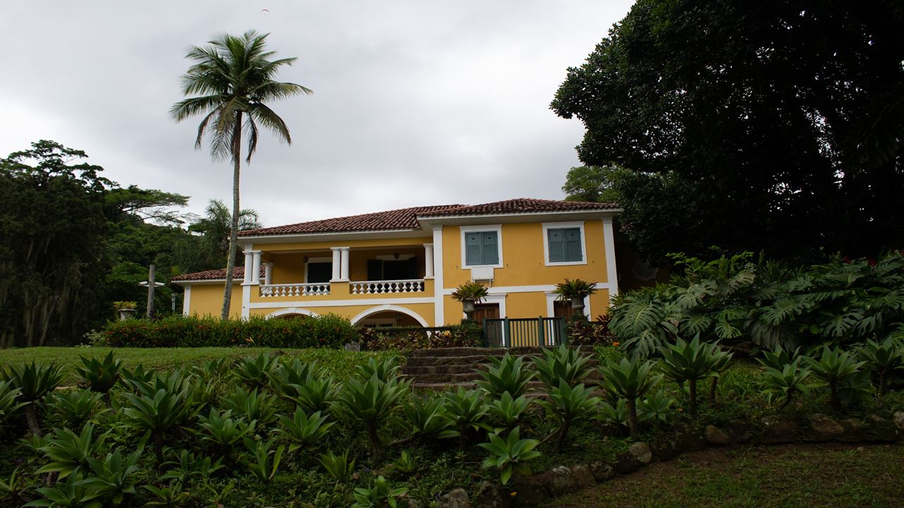 Jeep Tour Floresta Da Tijuca + Botanical Garden (7)