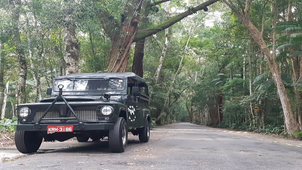 Jeep Tour Floresta Da Tijuca + Botanical Garden (2)