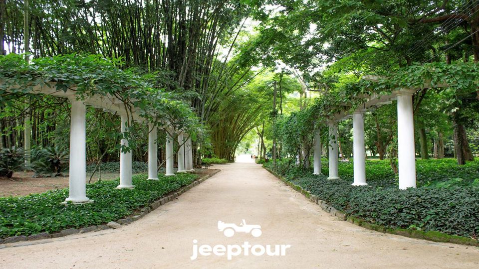 Jeep Tour Floresta Da Tijuca + Botanical Garden foto 6