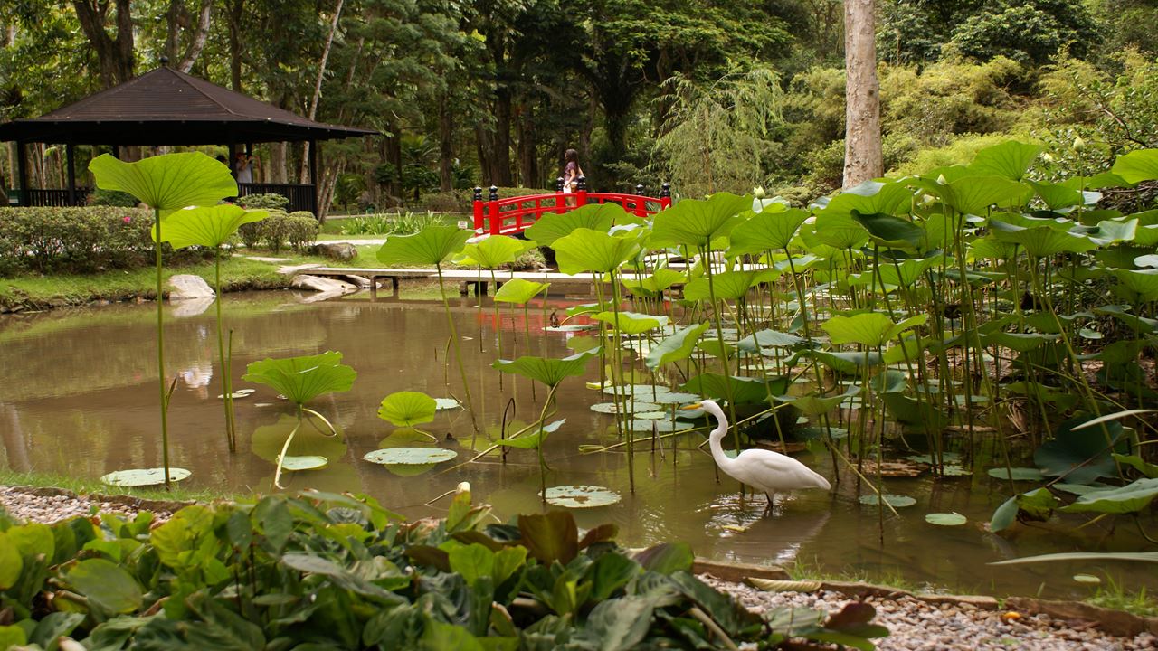 Jeep Tour Floresta Da Tijuca + Botanical Garden (4)