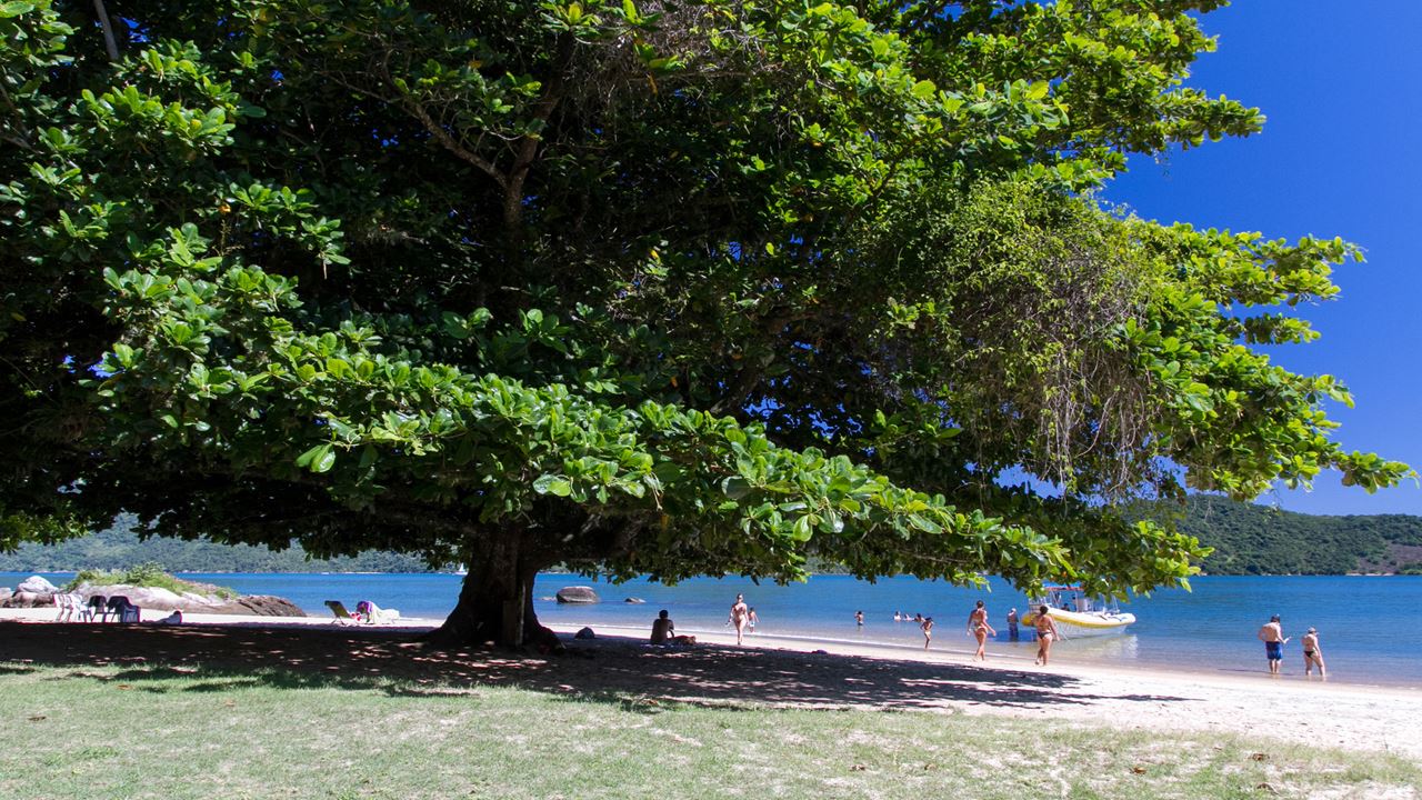 Lancha Rápida A Saco Do Mamangua foto 3