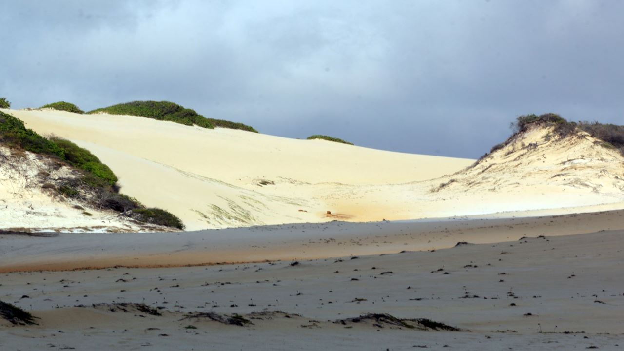 Litoral Sul Vip - Off Road 4x4 foto 6