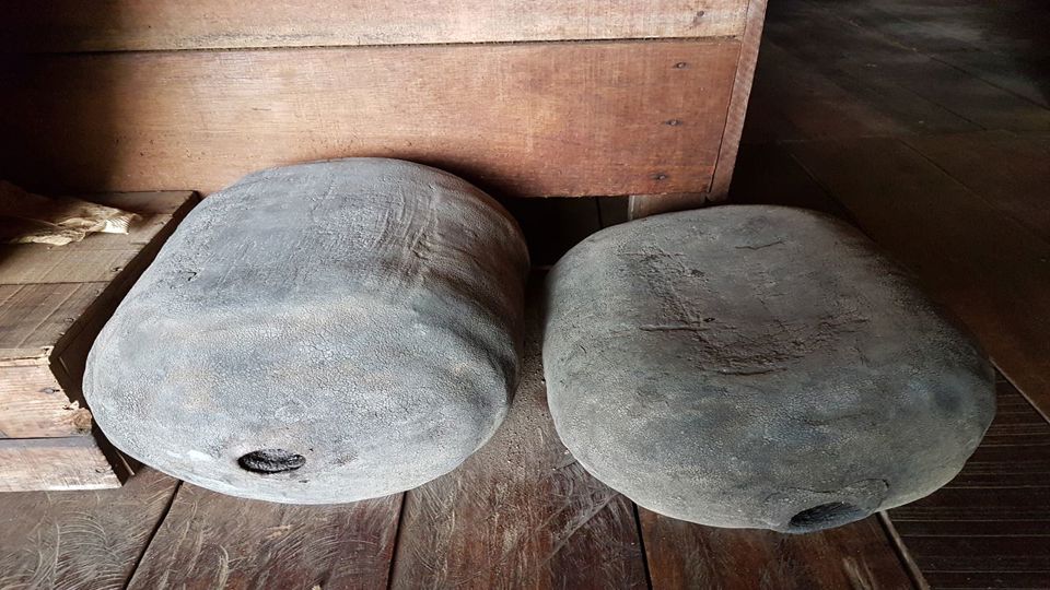 Rubber Museum In The Amazon	 foto 3