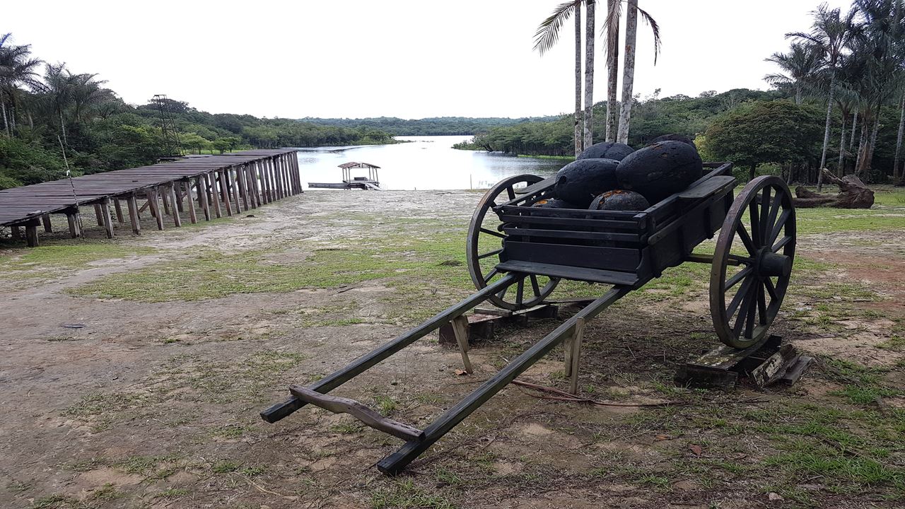 Rubber Museum In The Amazon (1)