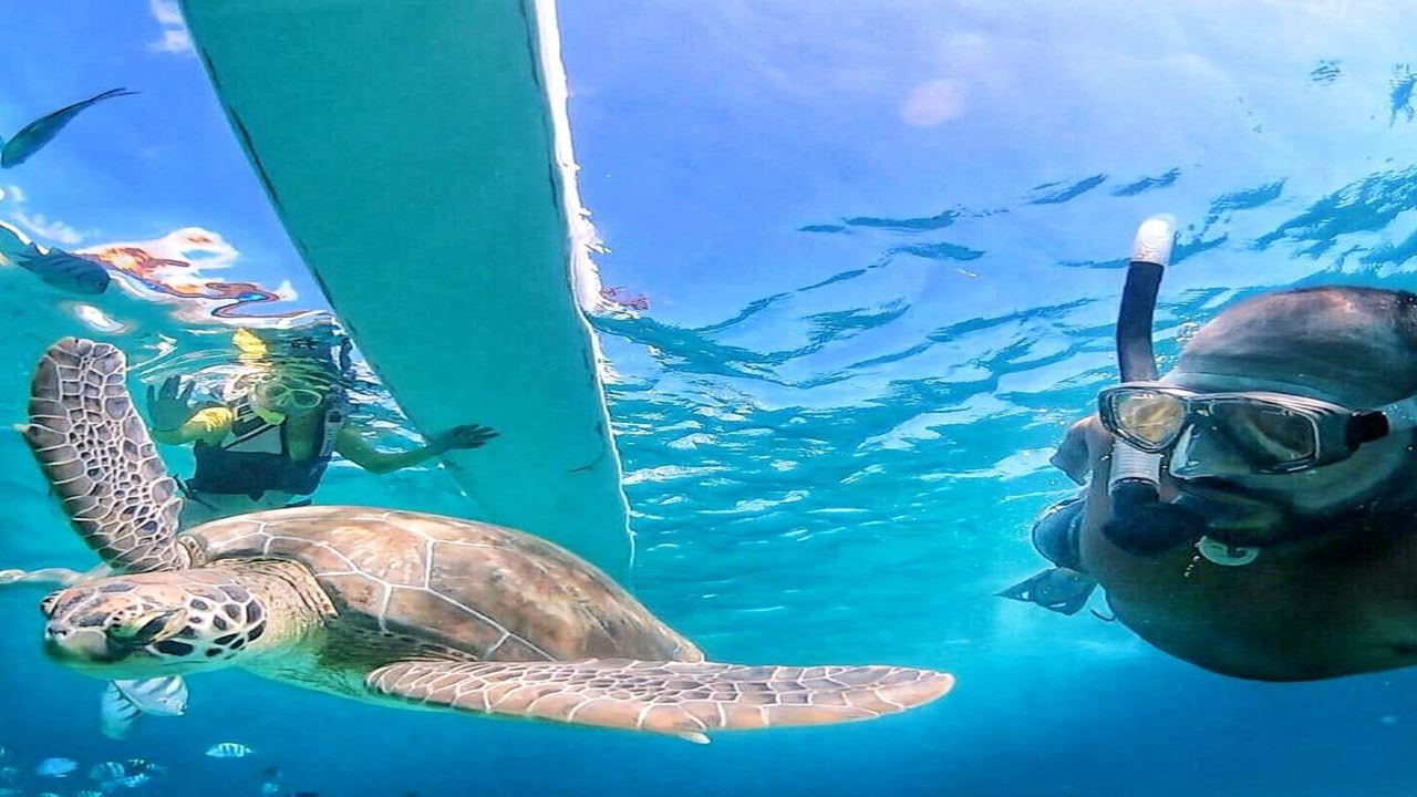 Passeio Em Canoa Havaiana foto 2