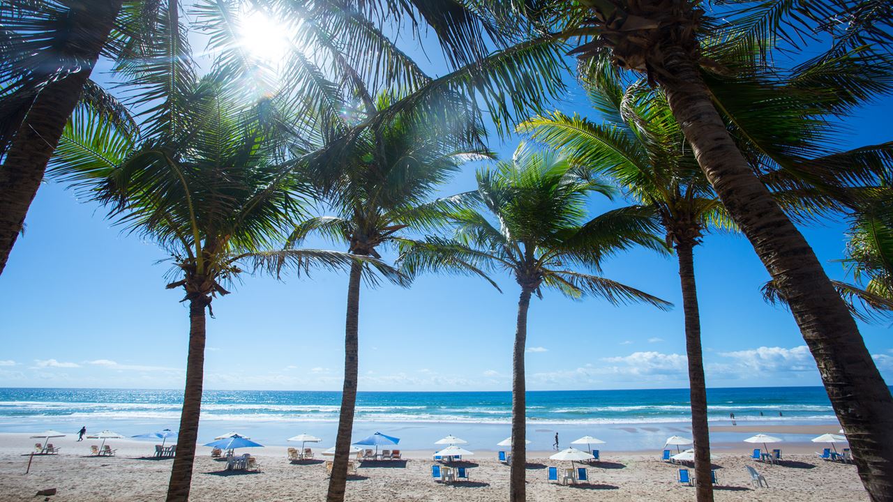 Paseo En Goleta Por Islas Tropicales foto 5