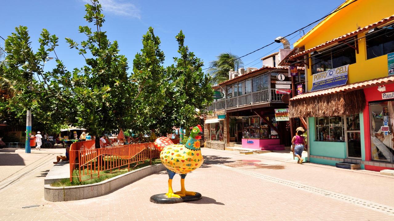 Passeio Em Porto De Galinhas foto 6