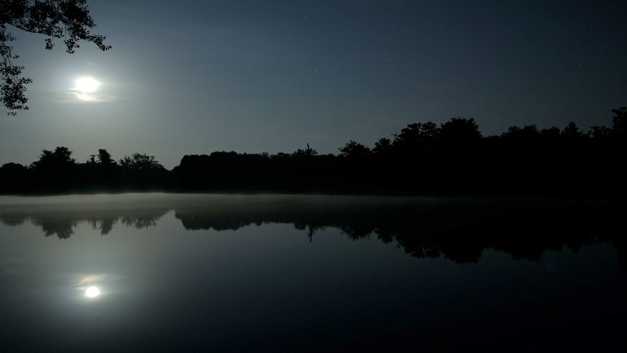 Amazon Jungle Tour - Alligators Night Watch (1)