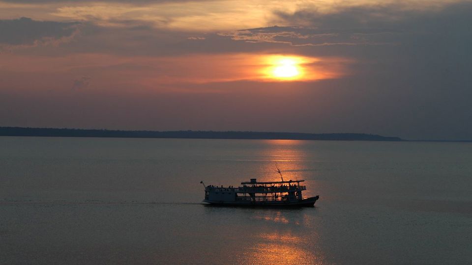 Amazon Jungle Tour - Alligators Night Watch foto 3