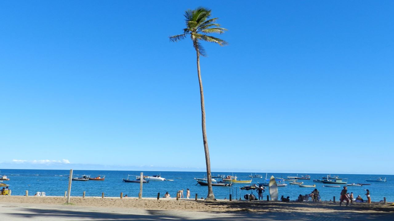 Praia Do Forte Y Playa De Guarajuba En El Día foto 9