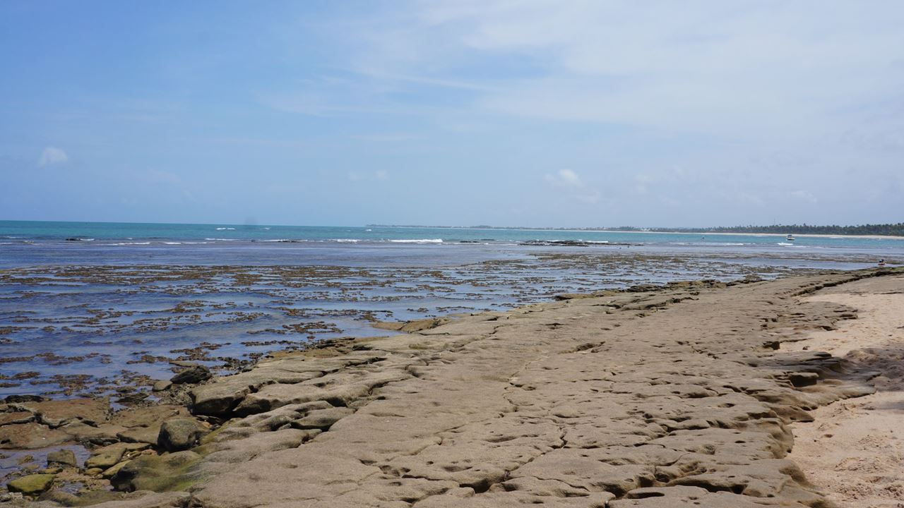 Praia Do Forte Y Playa De Guarajuba En El Día foto 11