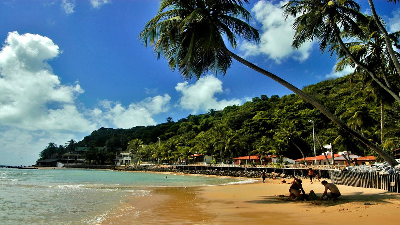 South Coast And Arituba Lagoon Tour foto 6