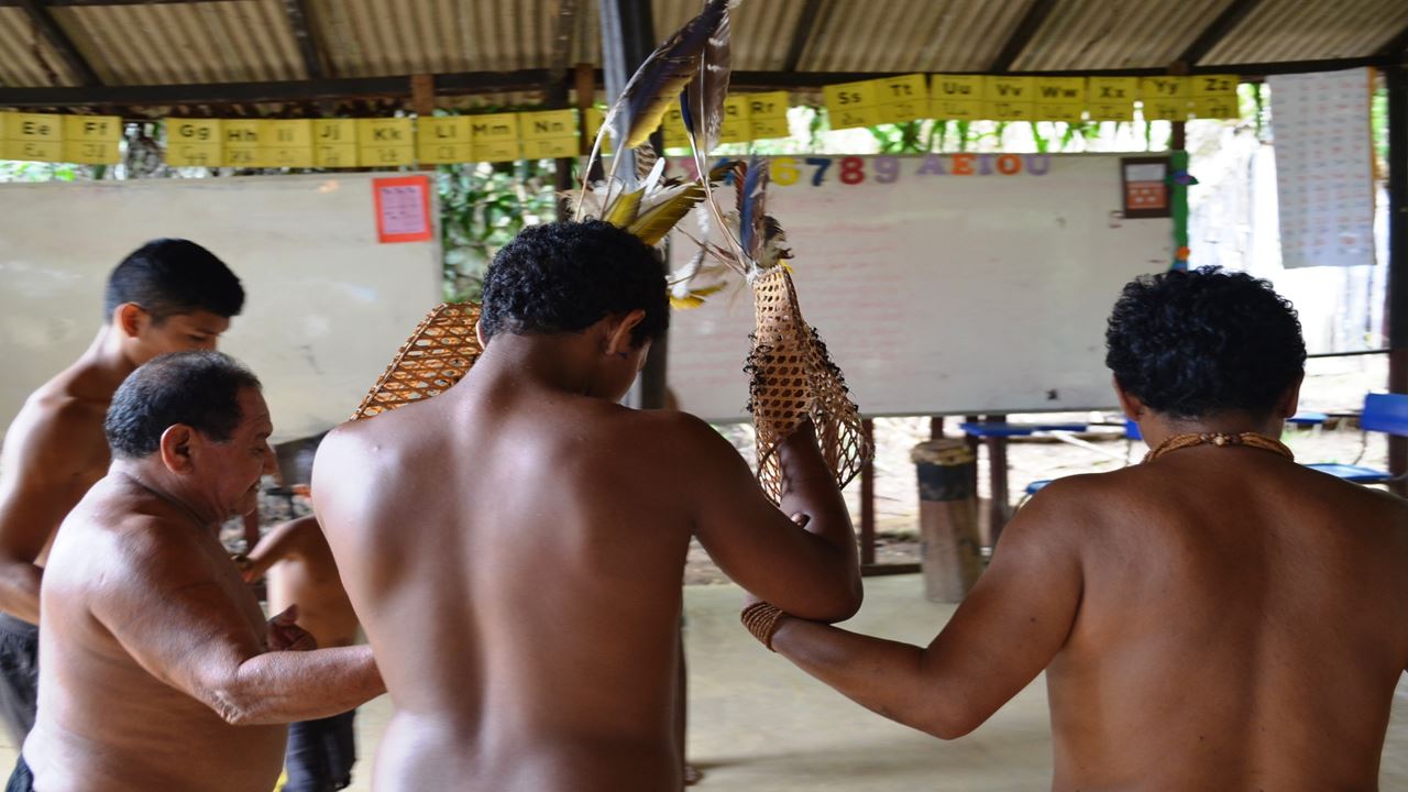 Tucandeira Ants Ritual In The Amazon (3)