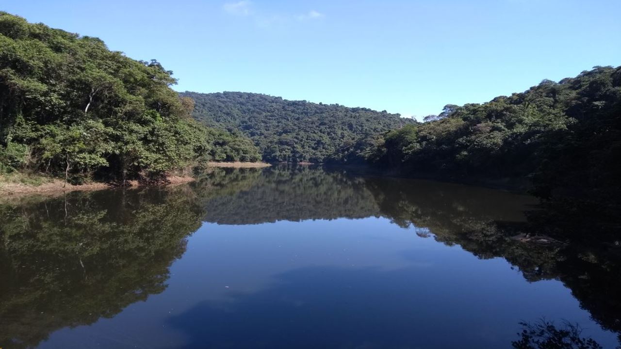 Sendero En La Serra Da Cantareira foto 5