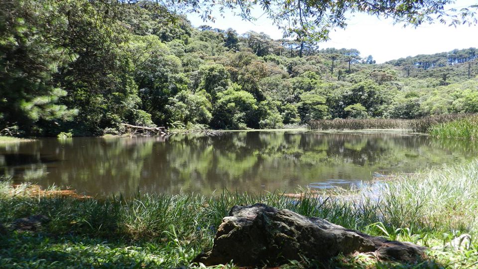 Trail In The Serra Da Cantareira foto 7