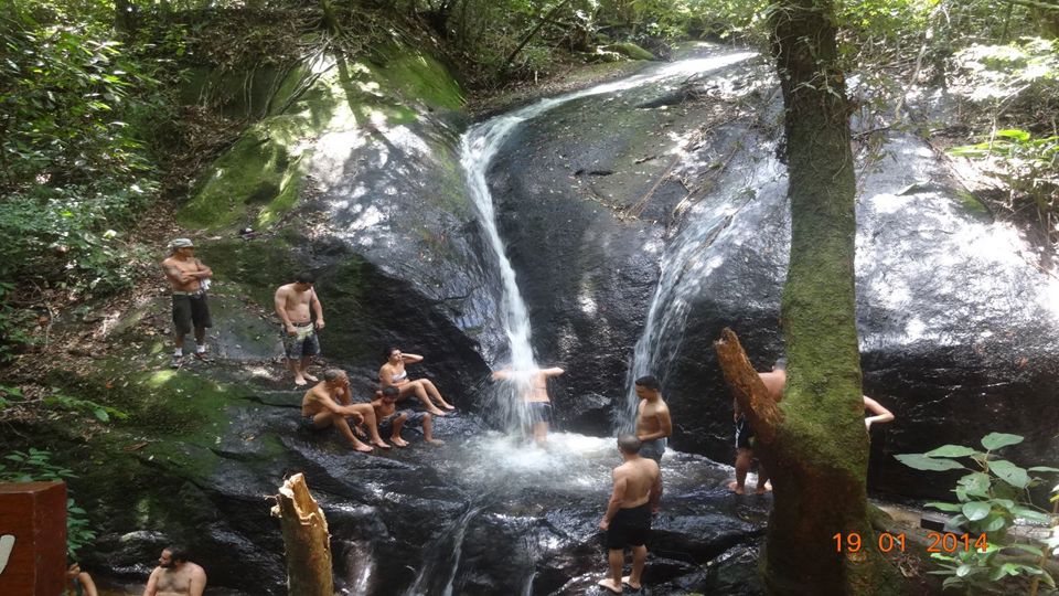 Trail In The Serra Da Cantareira foto 2