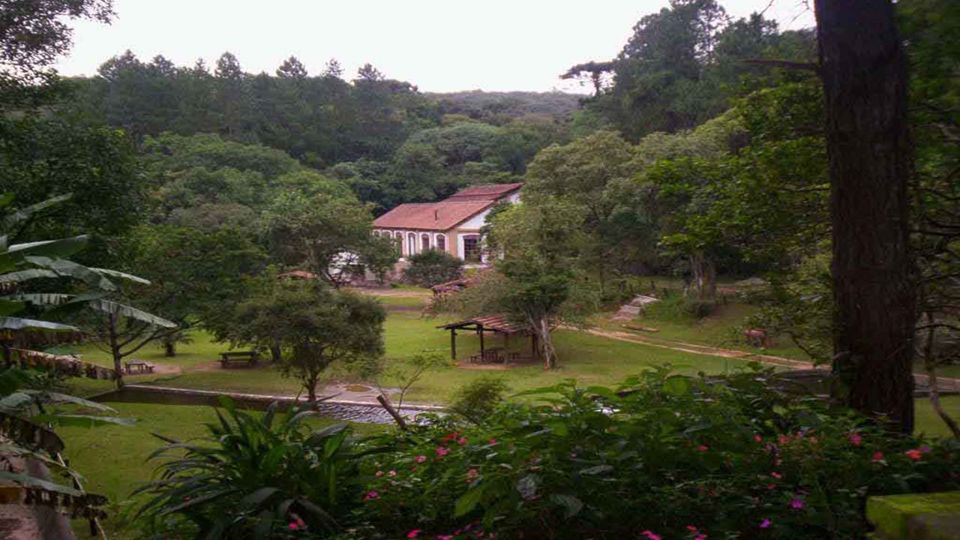 Trail In The Serra Da Cantareira foto 11