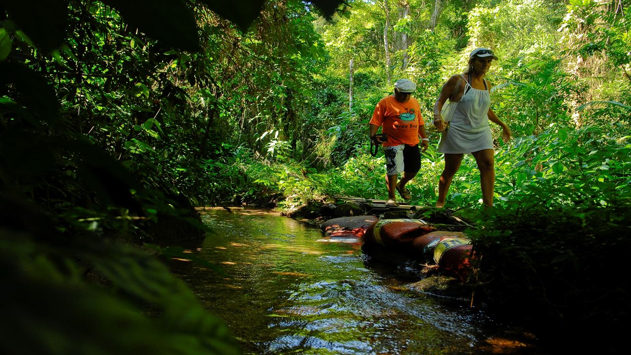 Sierra Da Bocaina - Jeep Tour foto 3
