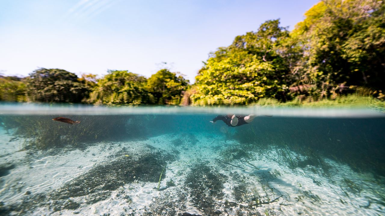 Mergulho Com Snorkel No Rio Sucuri foto 7