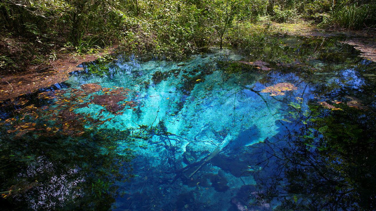 Mergulho Com Snorkel No Rio Sucuri foto 8