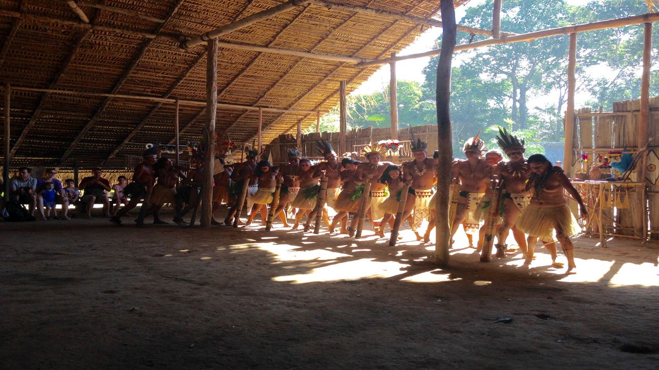 Surviving In The Jungle (5)