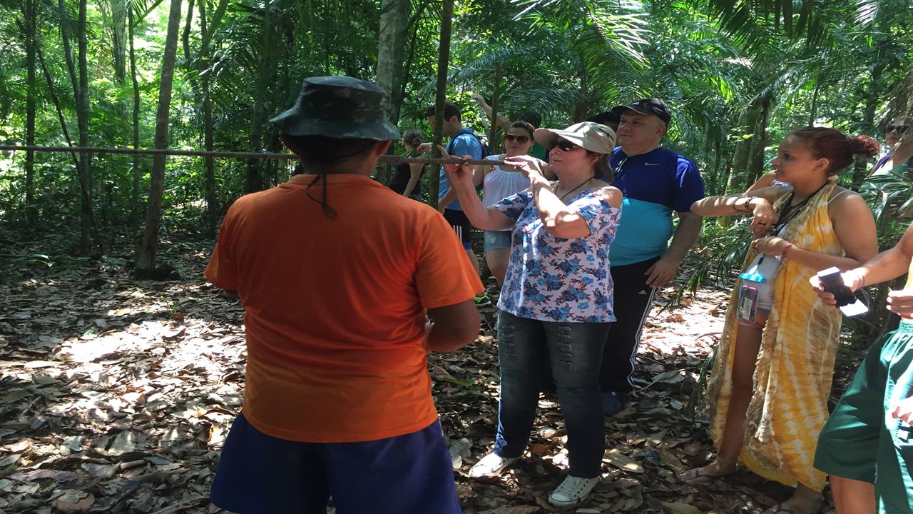 Surviving In The Jungle (2)