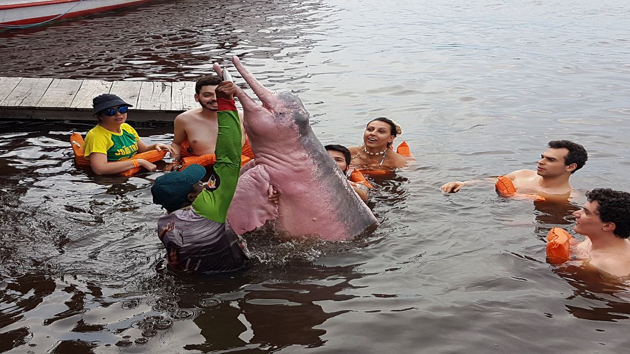 Paquete Manaus Classico foto 2