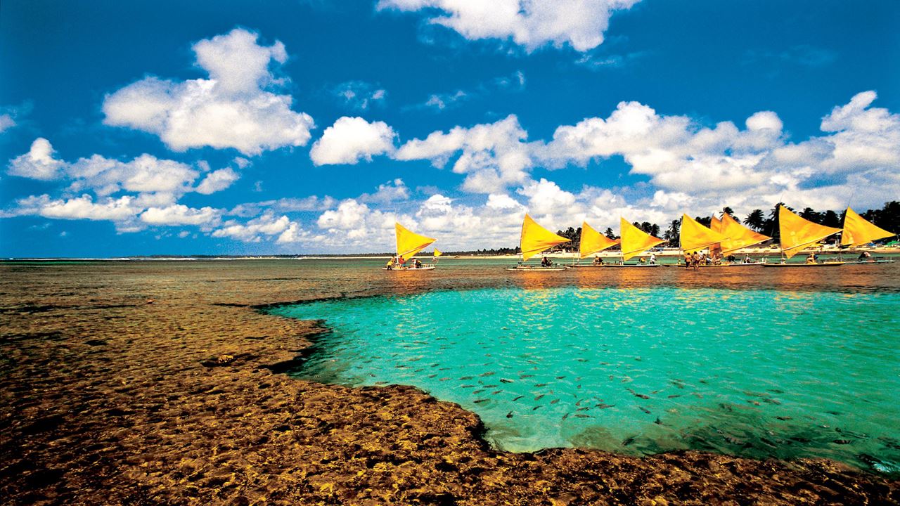 Recife Y Porto De Galinhas Clasicos foto 5