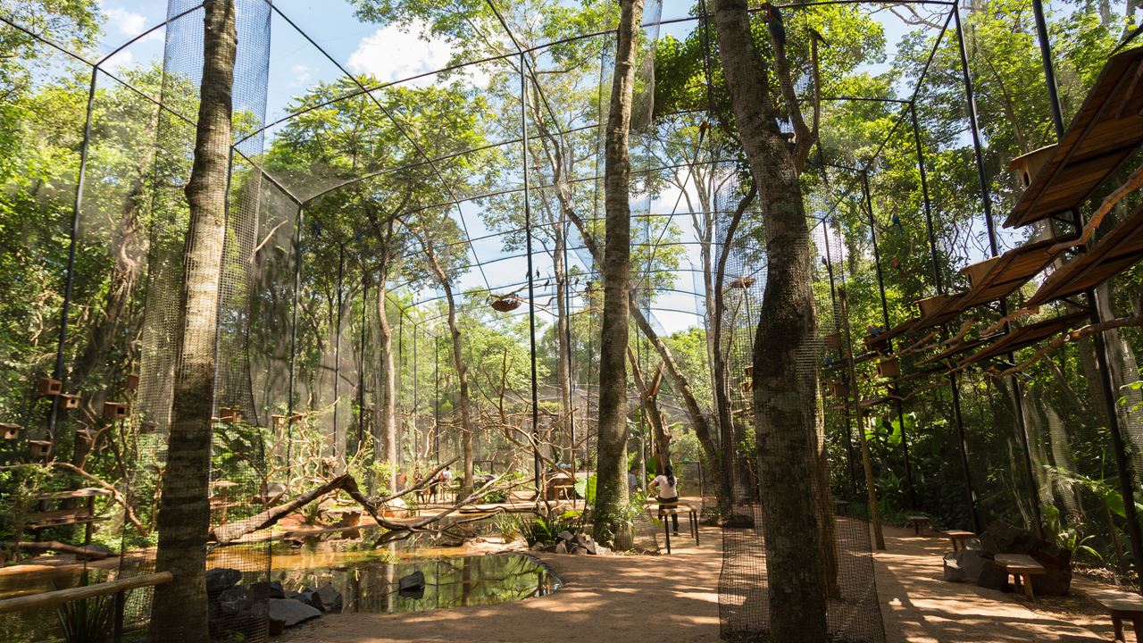 Classique De Rio De Janeiro Et Foz Do Iguaçu foto 7