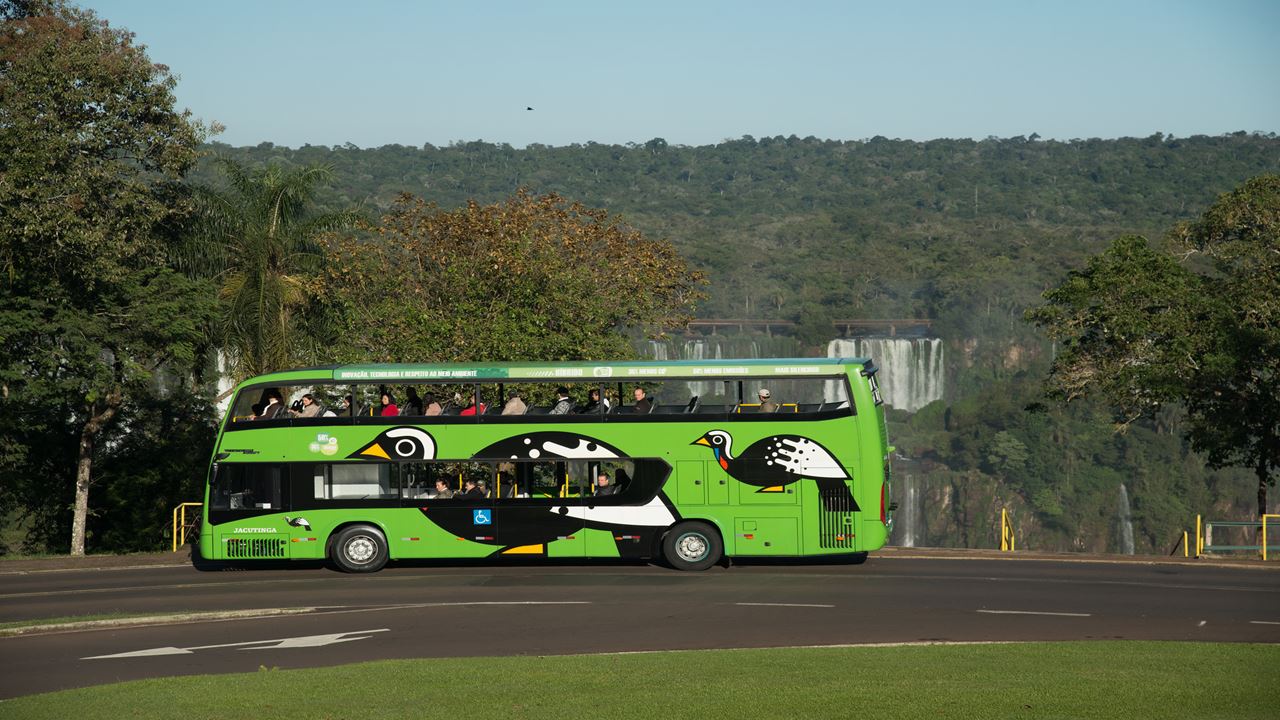 Rio De Janeiro, Foz Do Iguaçu, Salvador Et Amazonie foto 7
