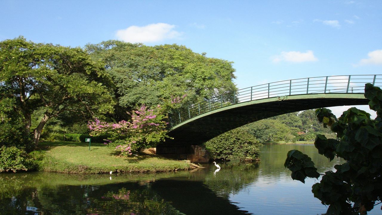 Tour Privado Pela Cidade De São Paulo foto 8