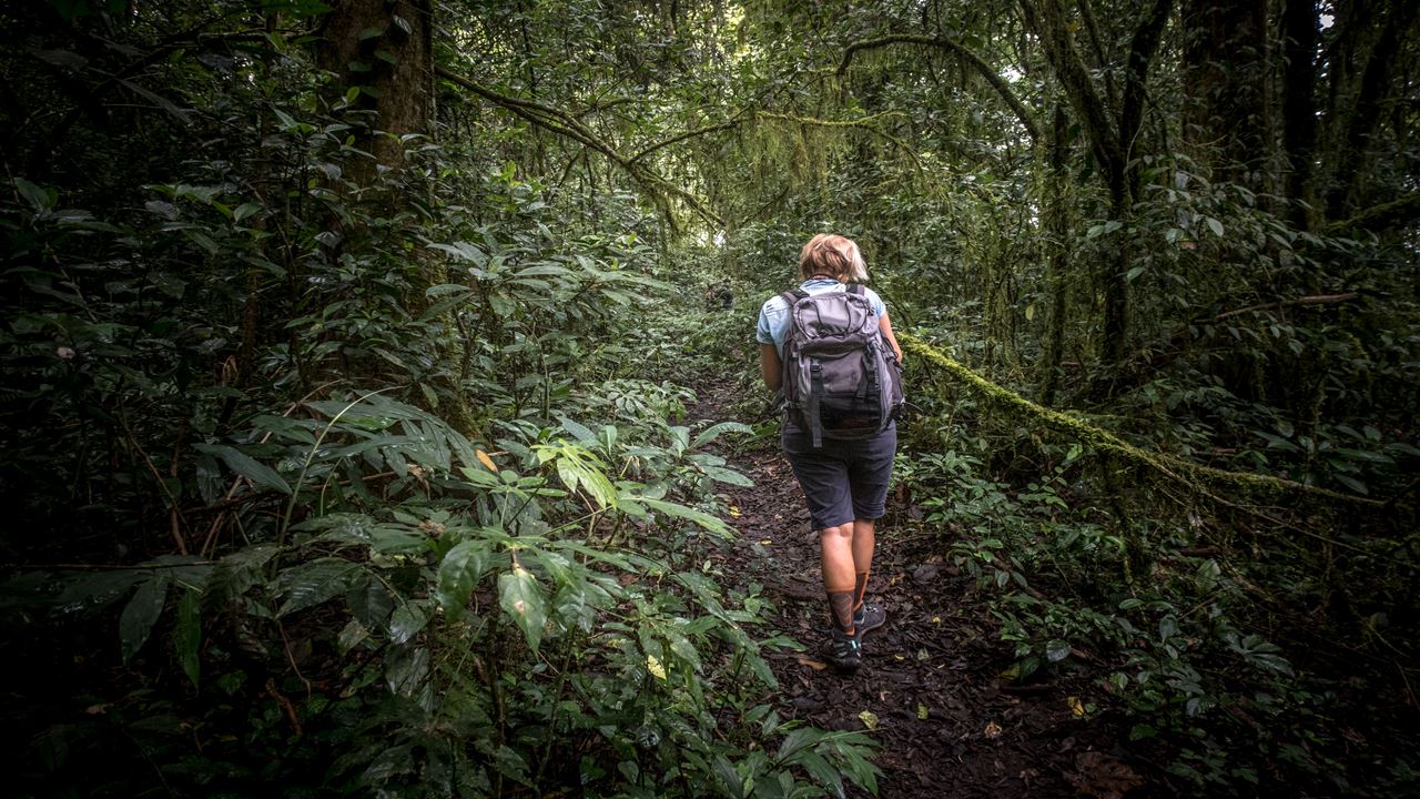 Trekking To Pico Pan De Sugar foto 4