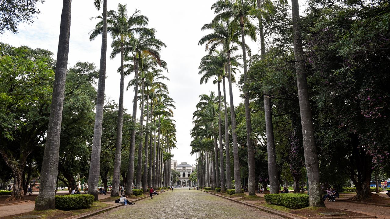 City Tour Belo Horizonte foto 5