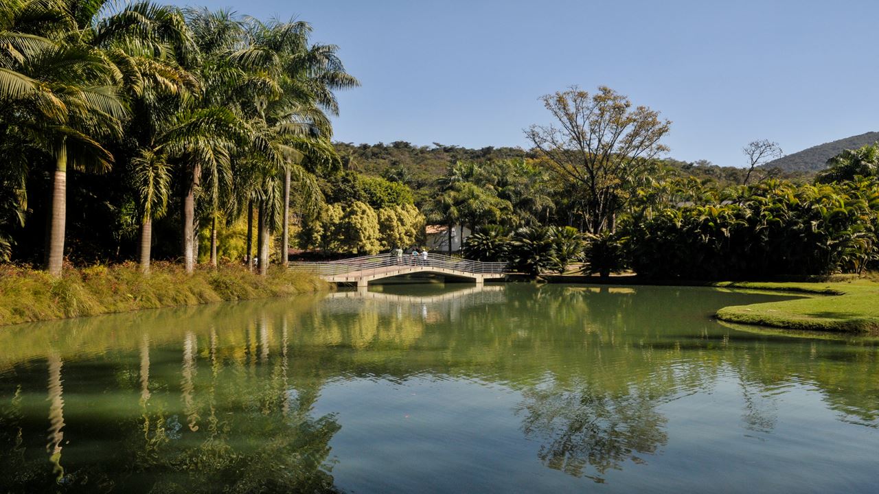 Tour To The Inhotim Museum foto 5