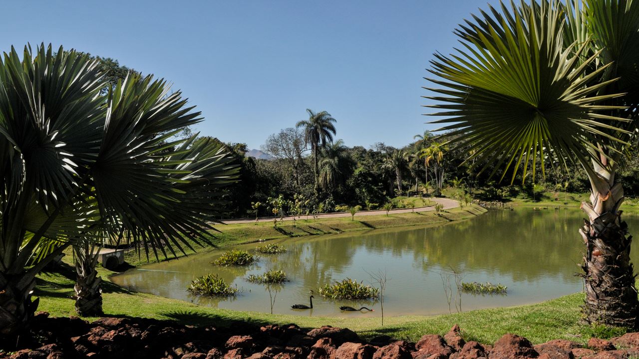 Tour To The Inhotim Museum foto 10