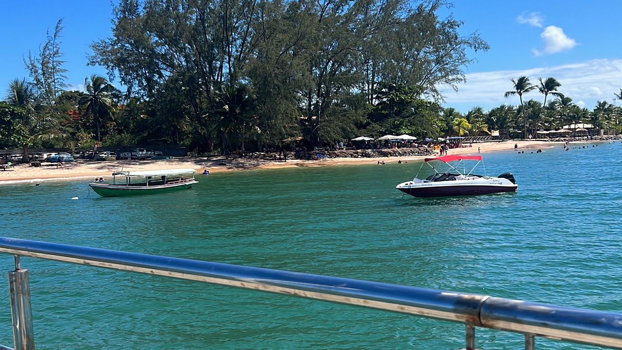 Boat Ride Through The 4 Islands Of Camamu foto 7