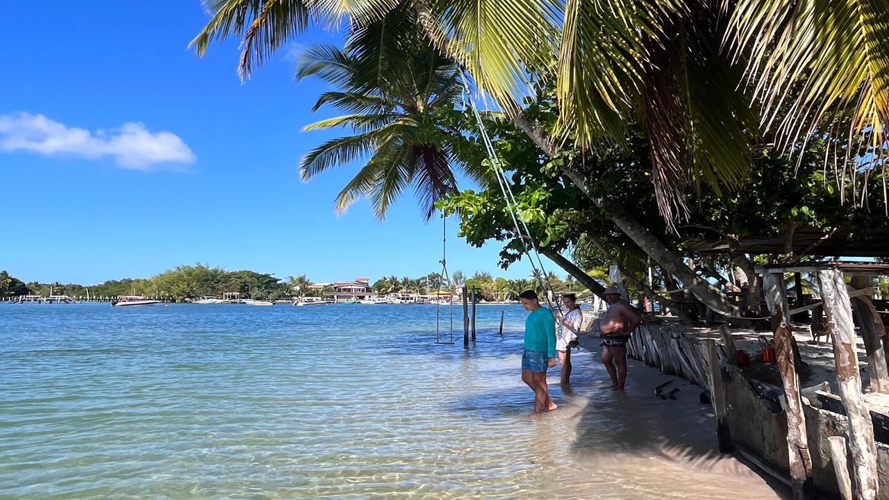 Boat Ride Through The 4 Islands Of Camamu foto 6
