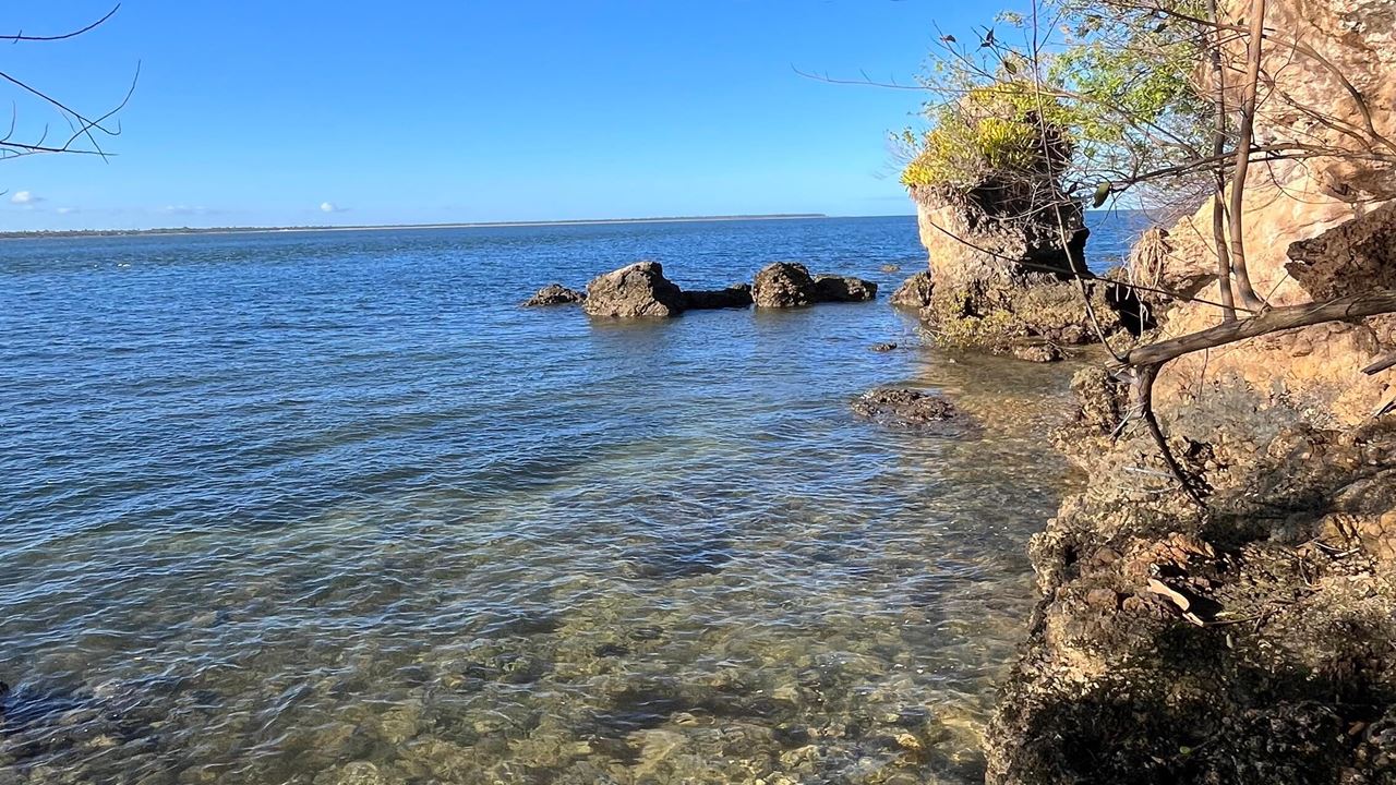 Boat Ride Through The 4 Islands Of Camamu foto 5
