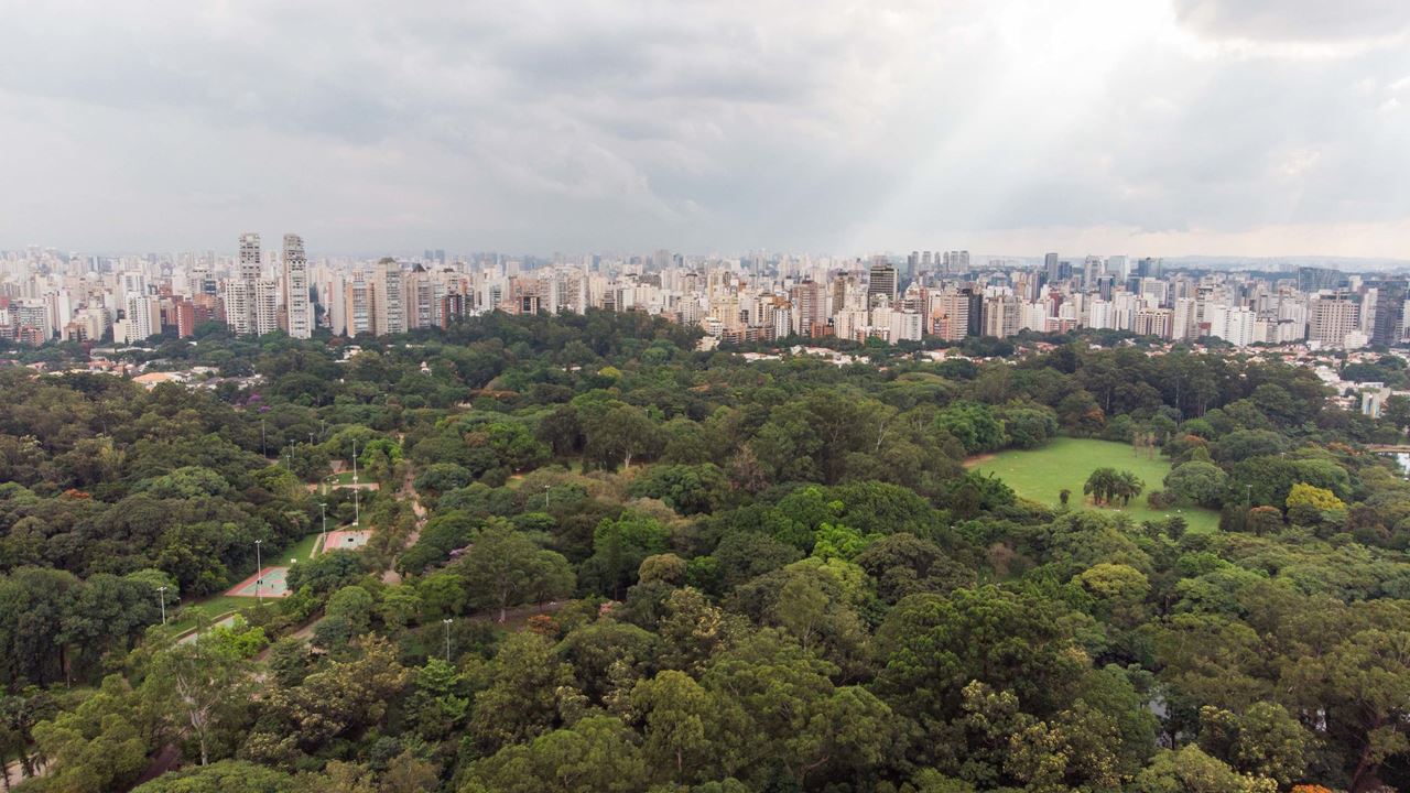City Tour Privado De Dia Inteiro Em São Paulo foto 5