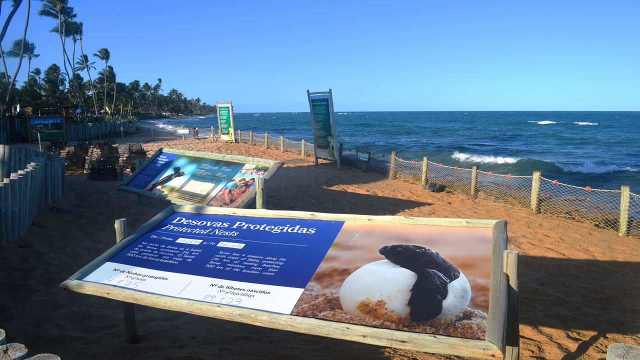 All Inclusive Package Iberostar Selection Praia Do Forte foto 3