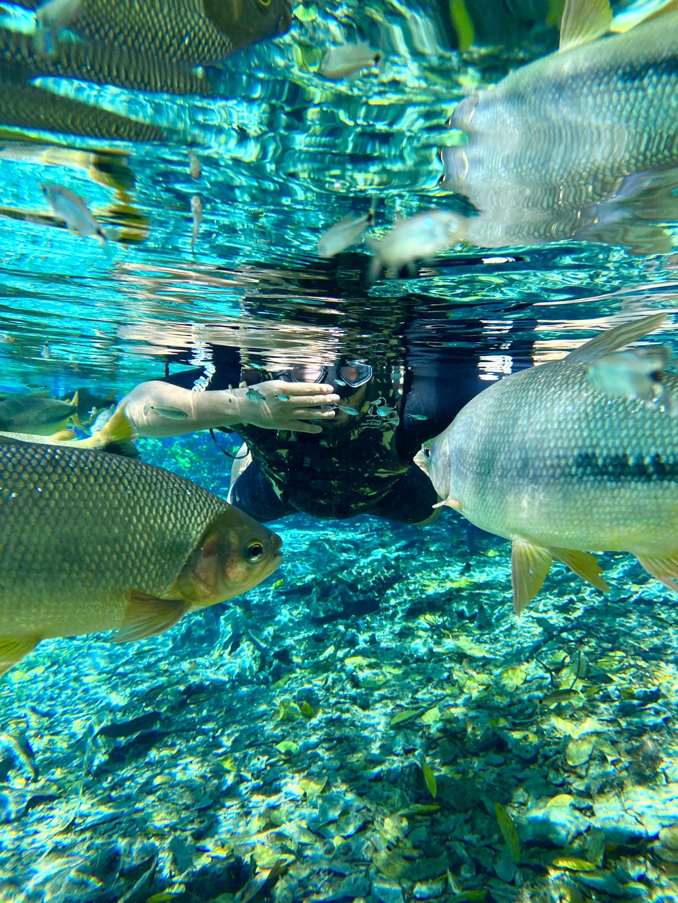 Natural Aquarium – Flotation foto 5