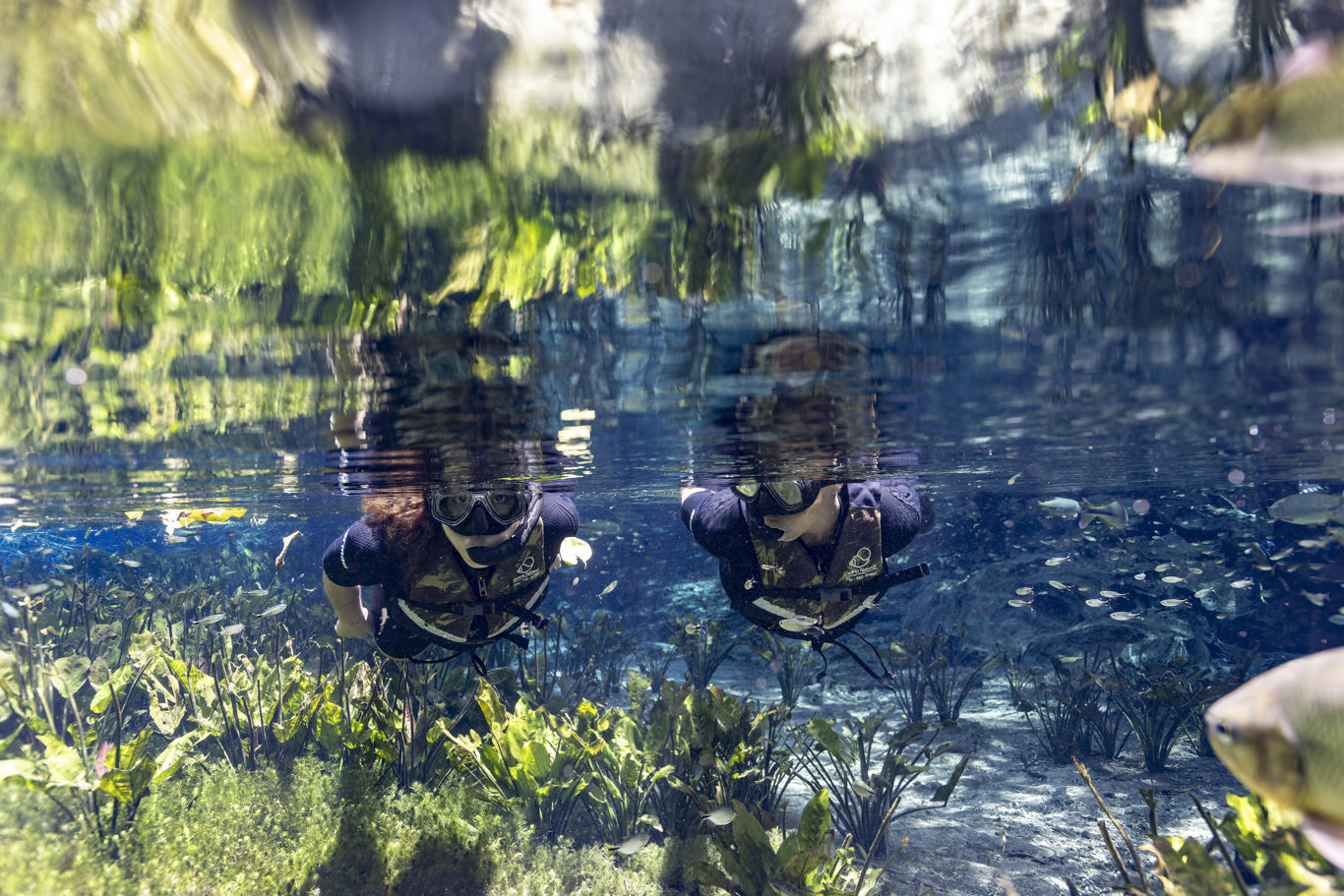 Natural Aquarium – Flotation foto 3