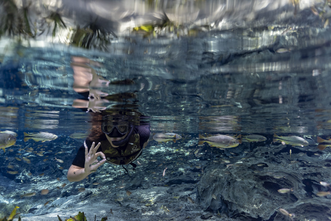 Natural Aquarium – Flotation foto 1