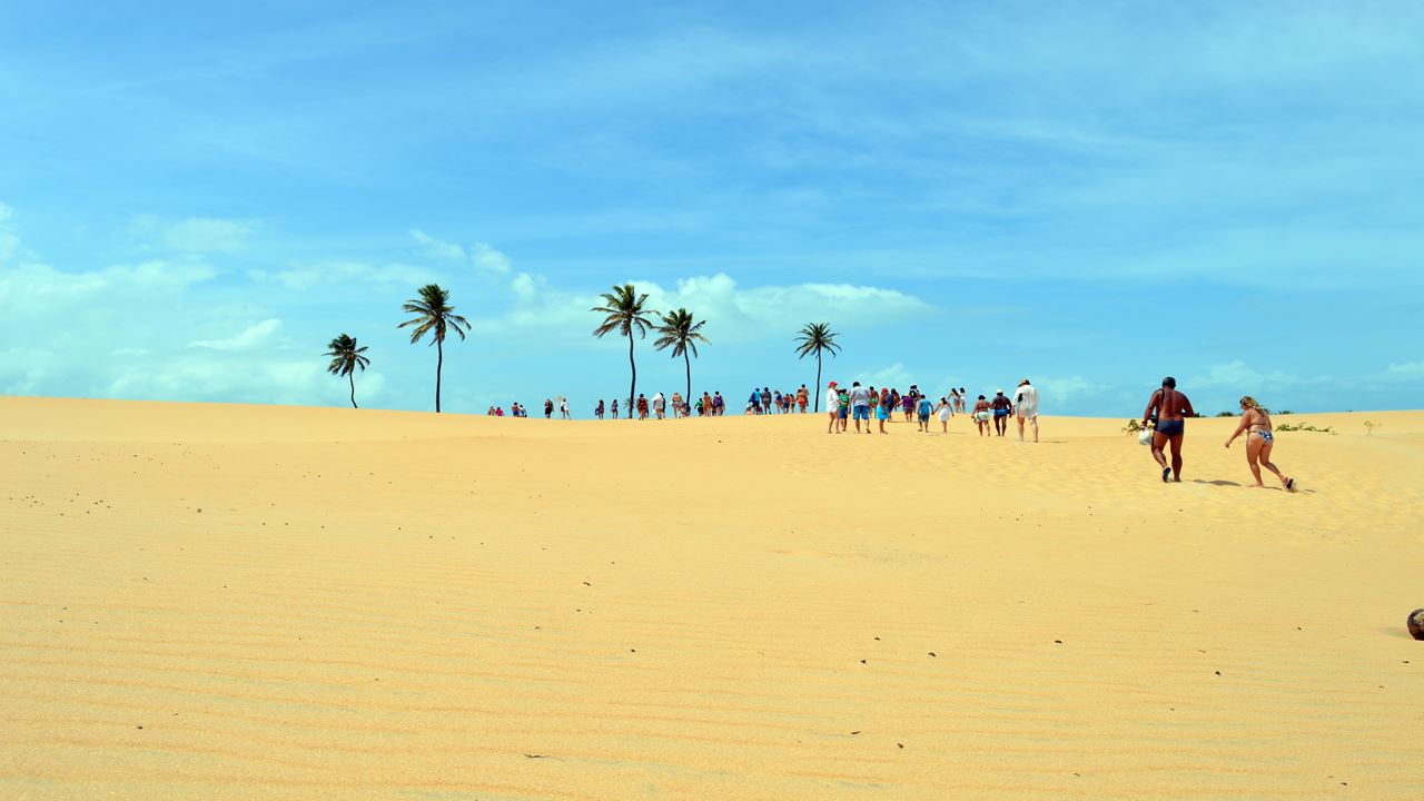 Tour A Foz Do Rio São Francisco foto 3