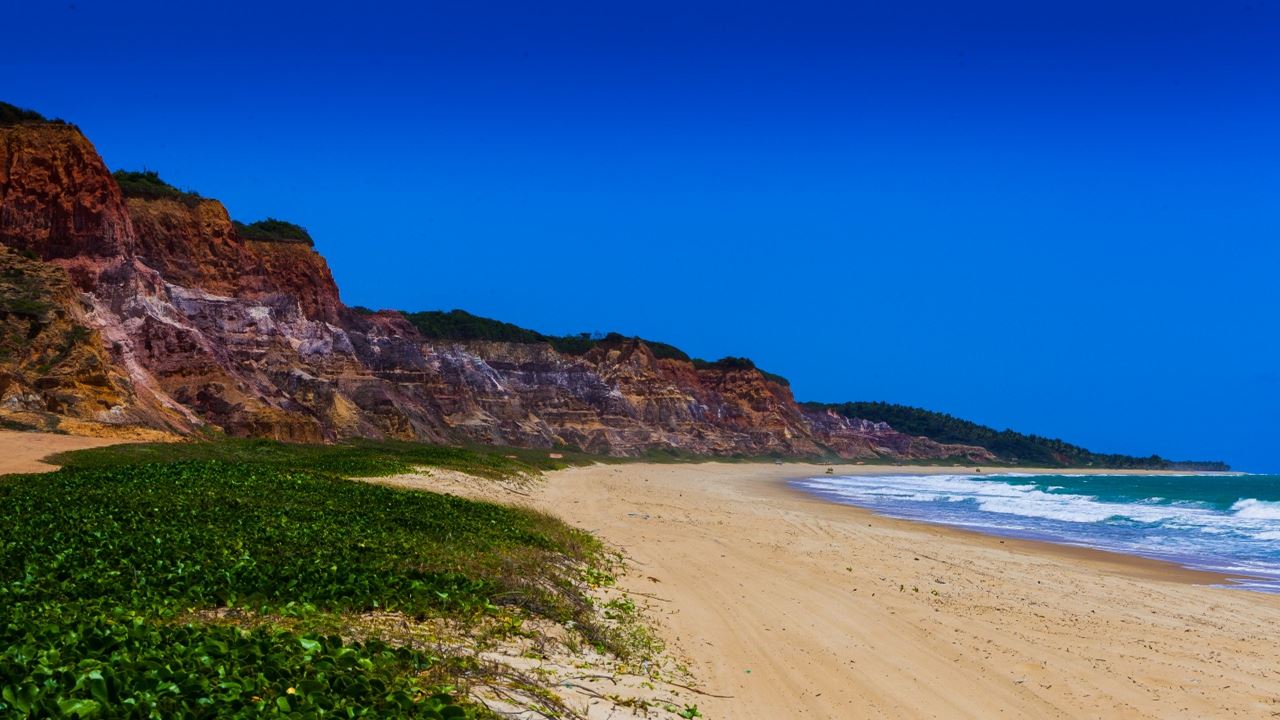 Tour A Foz Do Rio São Francisco foto 7