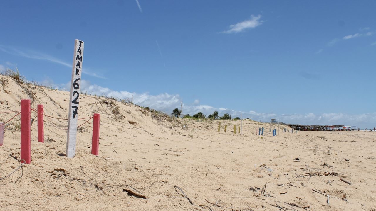 Passeio Praia Do Saco foto 1