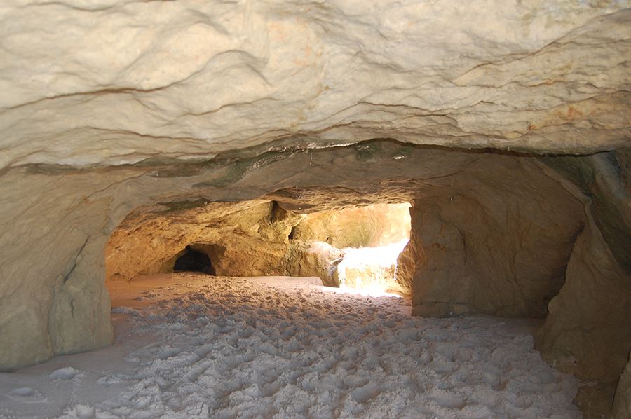 Tour A Las Playas De Morro Branco Y Fontes foto 4
